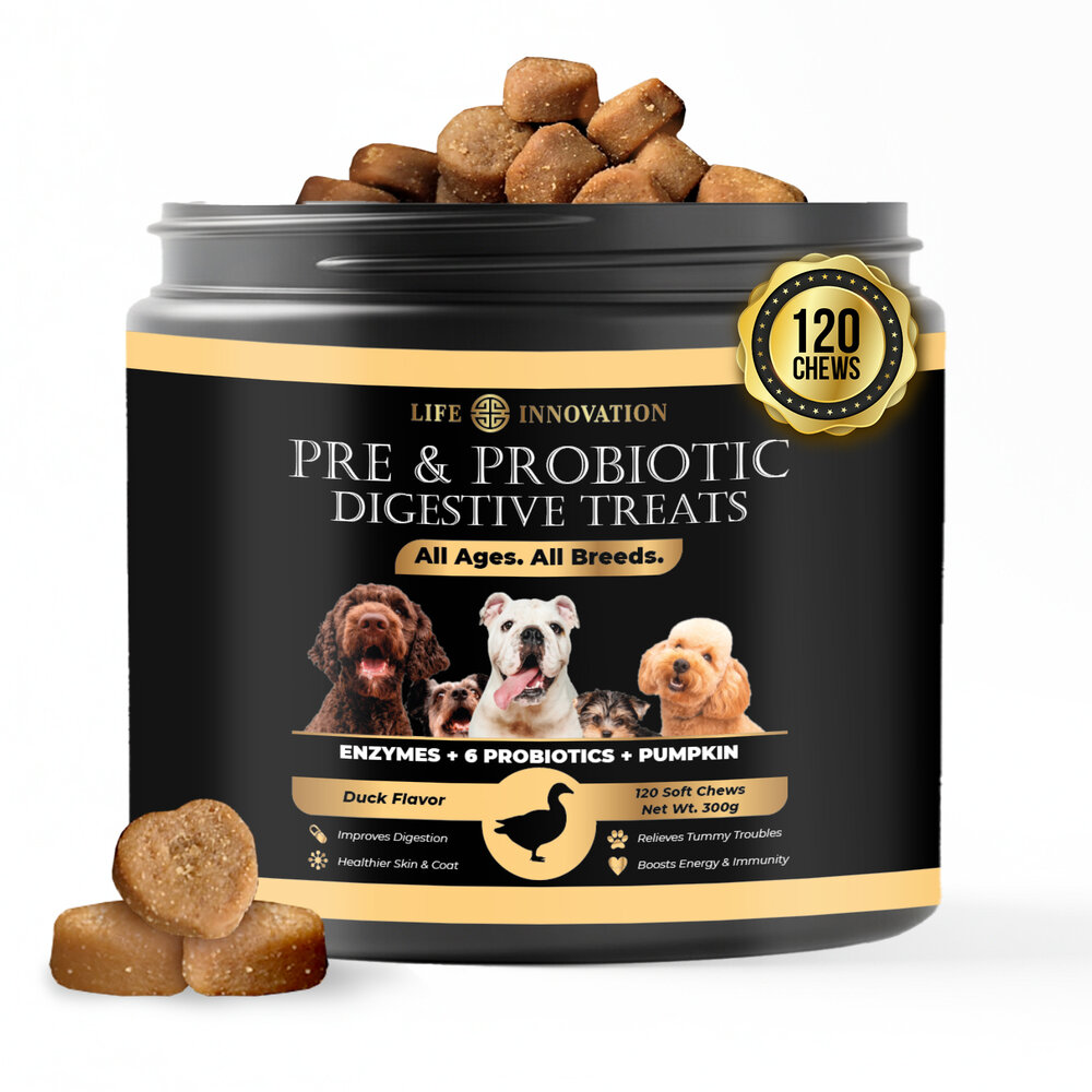 Probiotics with Enzymes